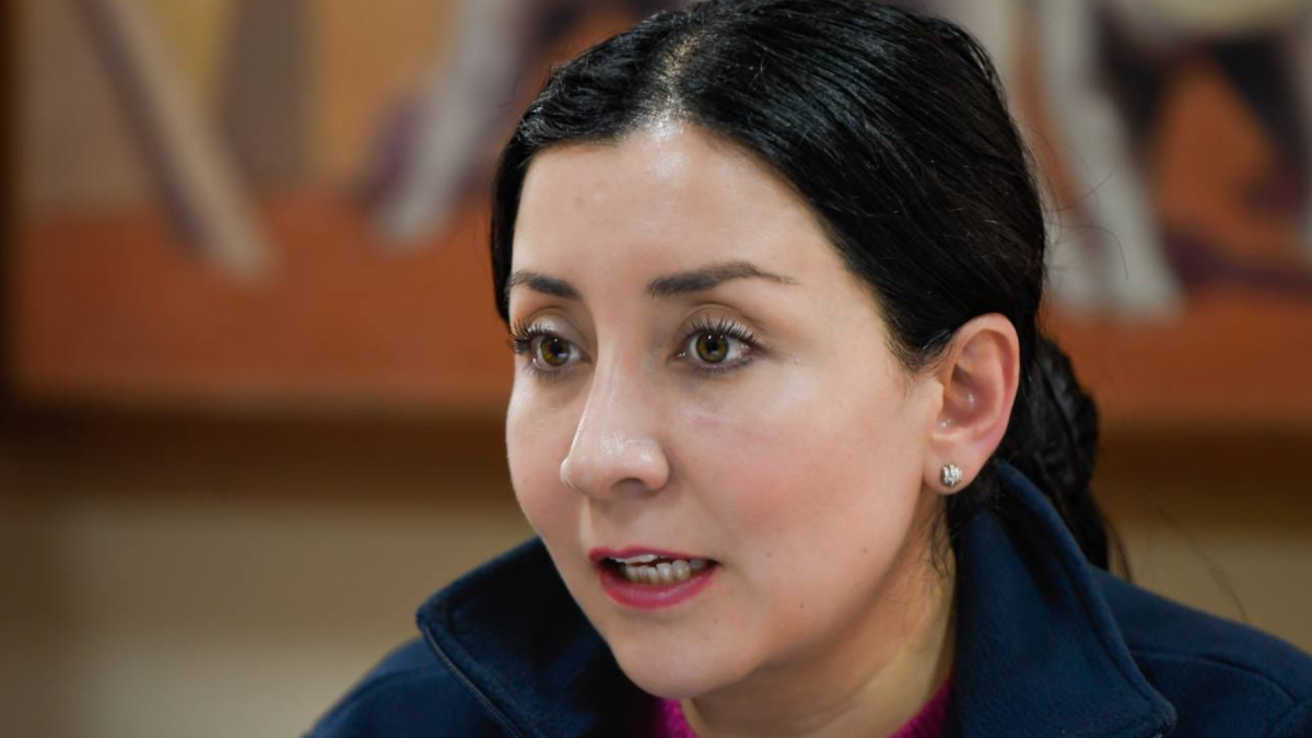 Carolina Andrade es máster en Ciencia Política, con mención en Asuntos Públicos por la Universidad Panteón-Sorbona de París y especialista en Servicios de Inteligencia.