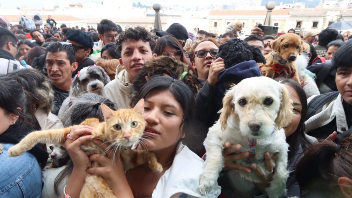 Familias quiteñas podrán acudir con sus mascotas a la tradicional bendición que se realizará en la Plaza de San Francisco este sábado especial.