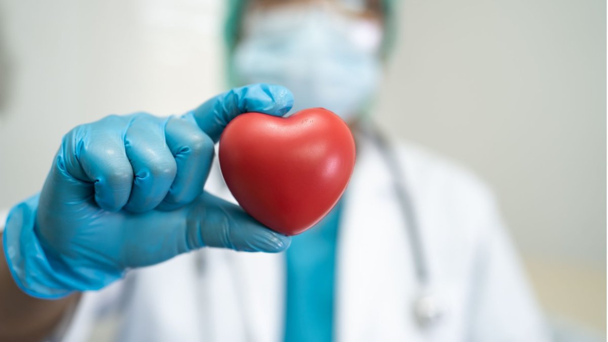 El Día Mundial del Corazón fue establecido en el año 2000 por la Federación Mundial del Corazón, con el respaldo de la Organización Mundial de la Salud (OMS).