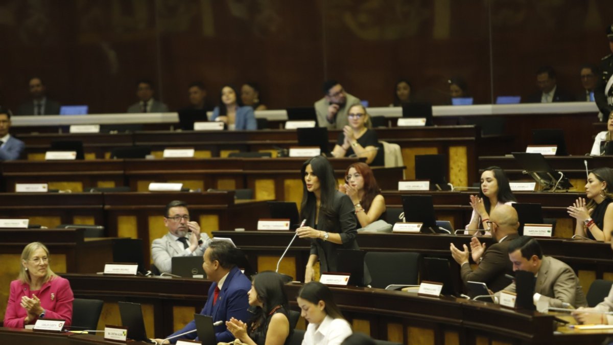 La legisladora de ADN Diana Jácome fue la encargada de presentar el informe ante el Pleno de la Asamblea.