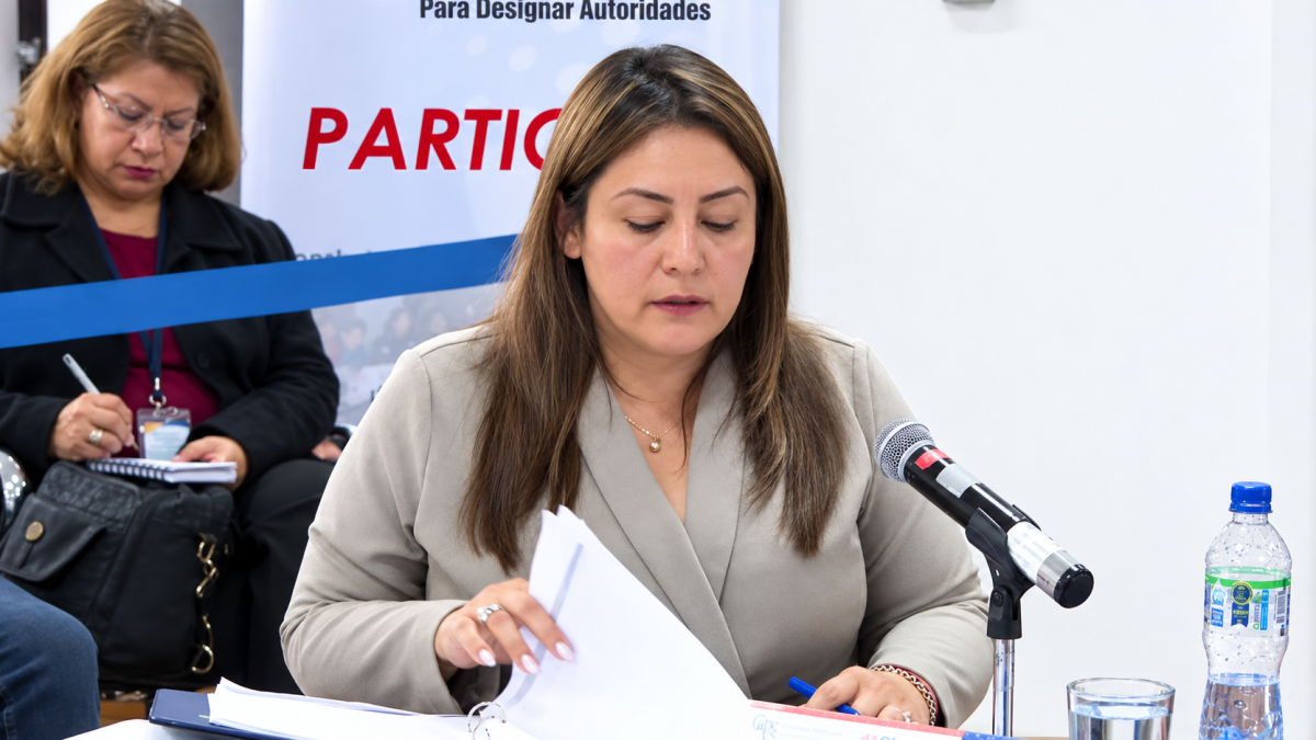 Gabriela Sierra fue la abogada que representó a Hamilton Taramuel en la audiencia de impugnación.
