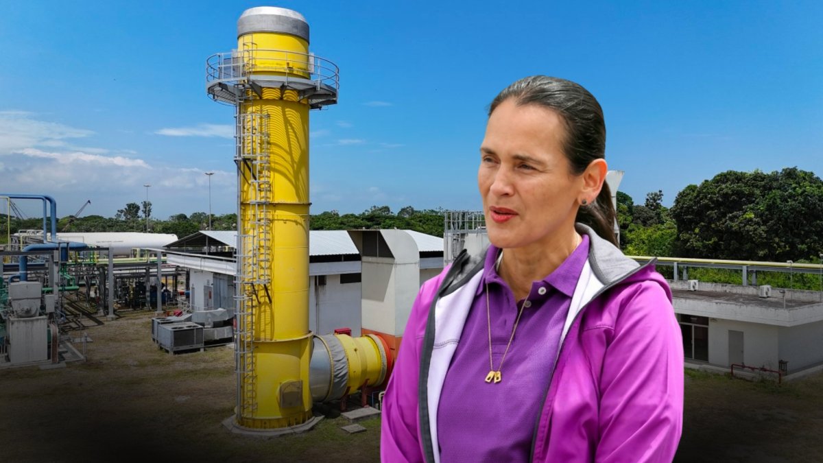 En diciembre de 2024, la entonces ministra Inés Manzano ya consultaba por Gasvesubio al gerente de Elecaustro dos semanas antes de comenzar la compra de energía termoeléctrica.
