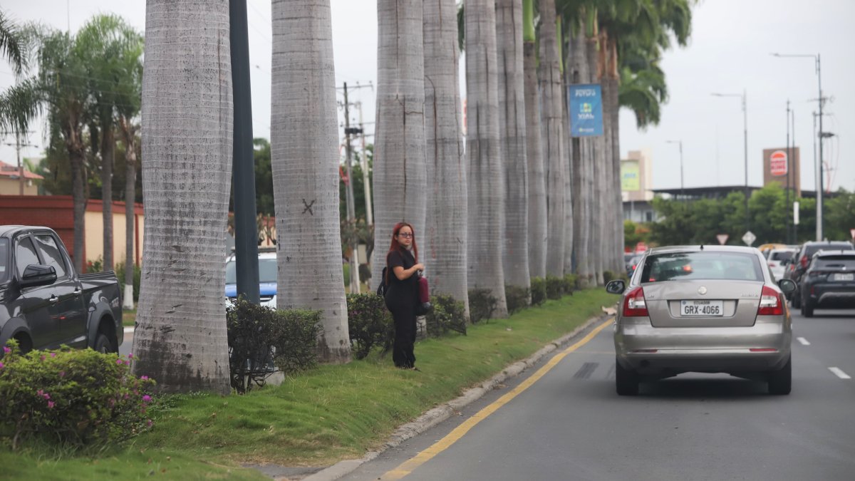 Imagen referencial de Samborondón, cerca de Ciudad Celeste, donde ocurrió el asalto.