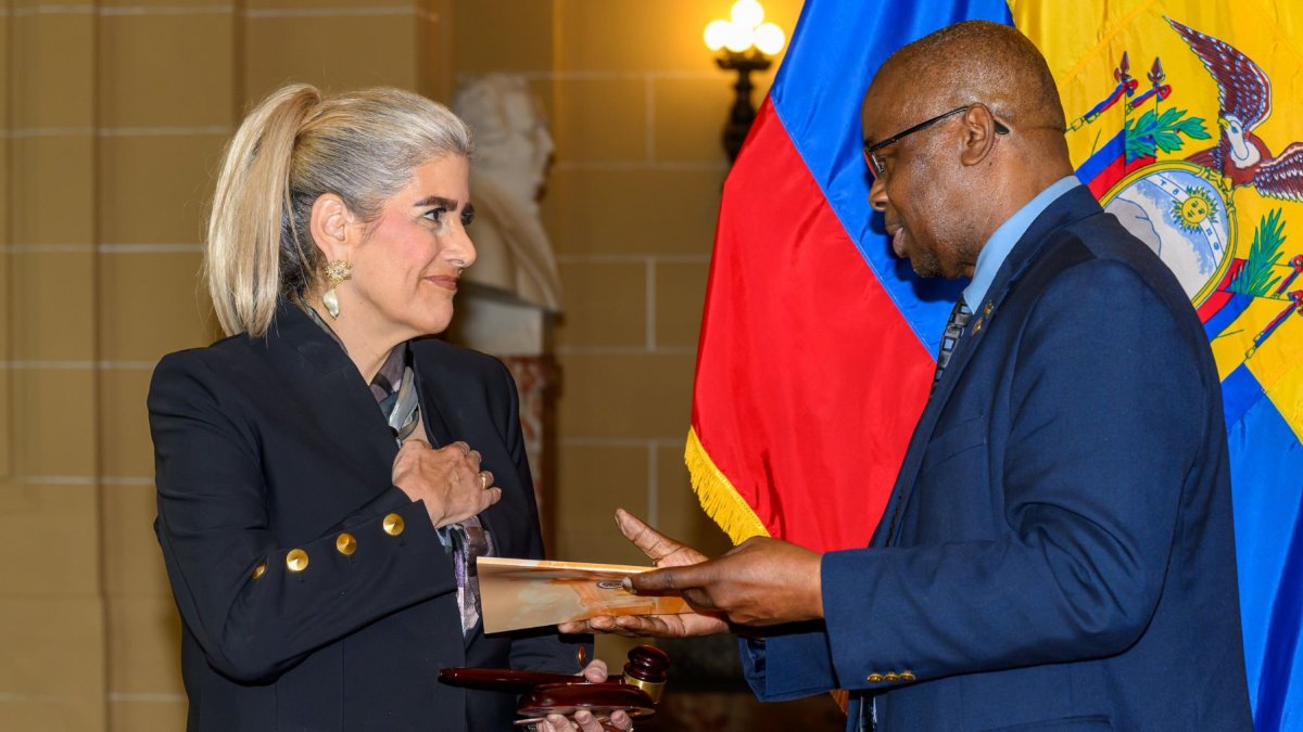 Mónica Palencia asumió la presidencia del Consejo Permanente de la OEA.