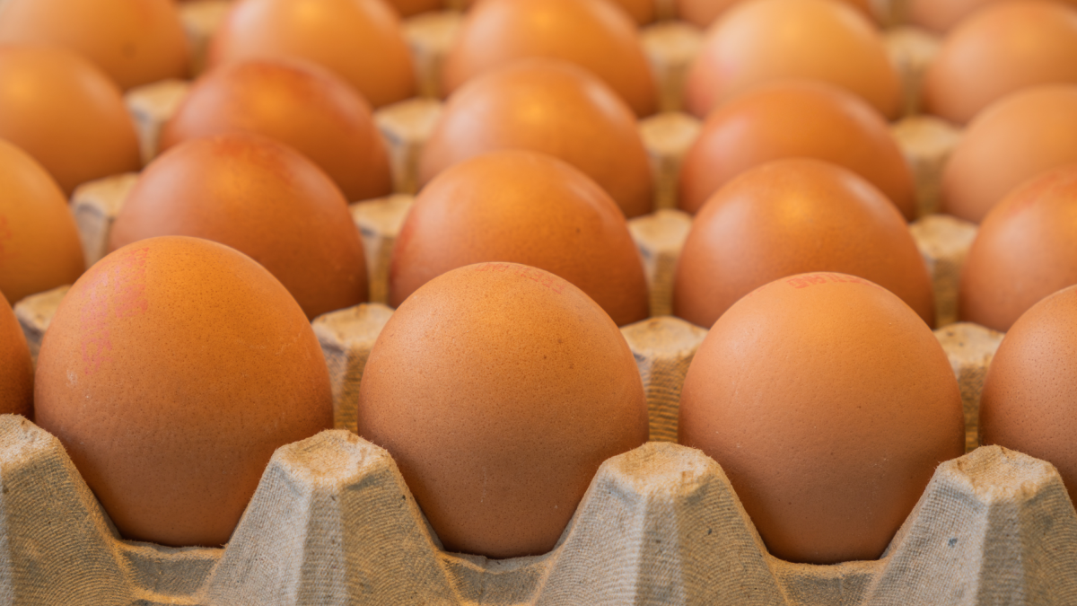 Comerciantes de Ambato y Cotopaxi reportaron una caída en las ventas y clientes que compran menos huevos tras el alza.