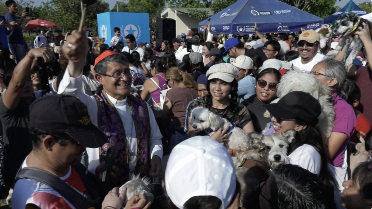 Bendición de animales se realizará este domingo 4 de octubre en la Plaza del Artista, en el centro de Guayaquil.