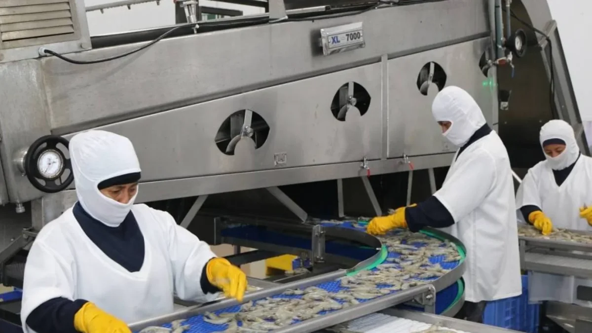 El impacto no se limita a los usuarios que reciben una factura más alta. También aumentan los costos de proveedores de insumos y servicios.