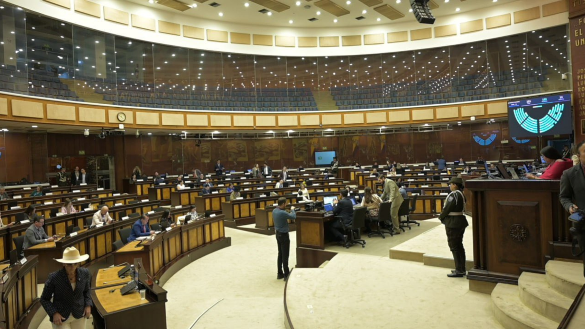 Pleno de la Asamblea Nacional, en el segundo debate de la ley reformatoria.