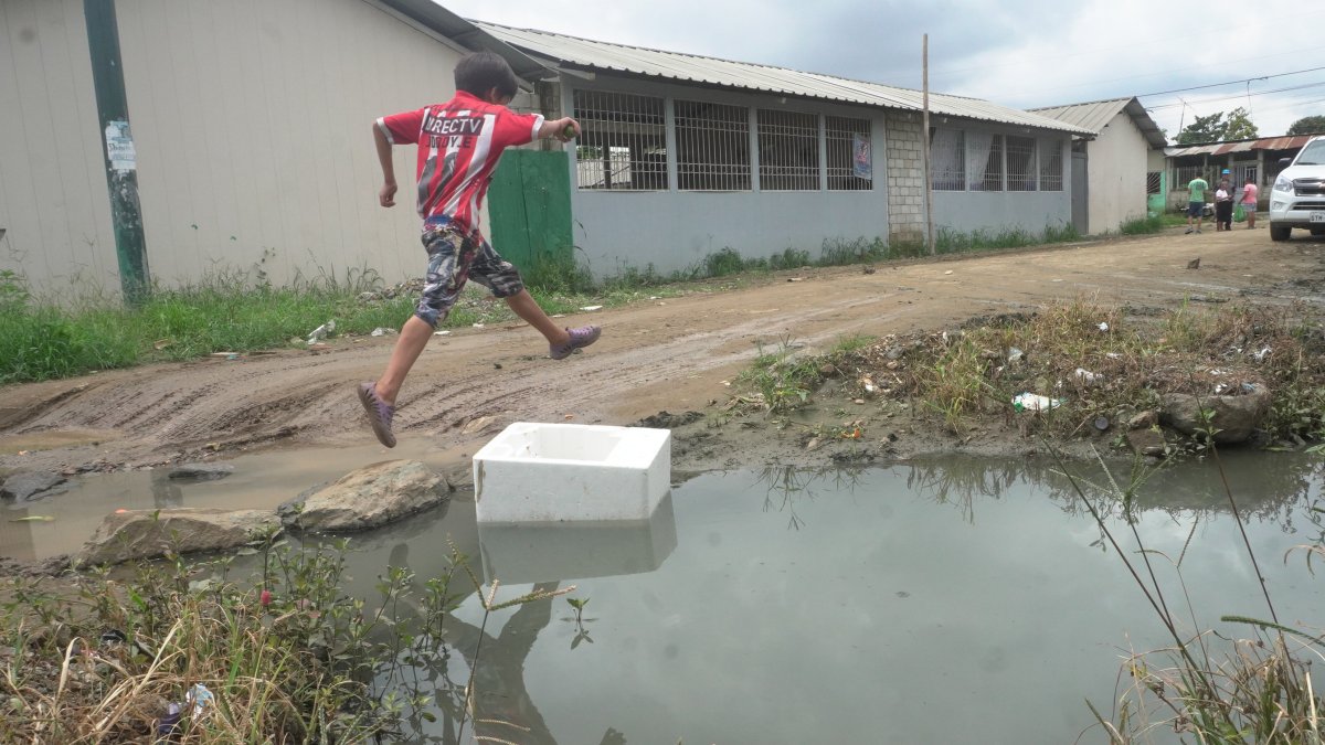 La UNE advierte sobre el riesgo de inundaciones y movimientos en masa en cientos de instituciones educativas fiscales ante el fenómeno de El Niño 2026-2027.