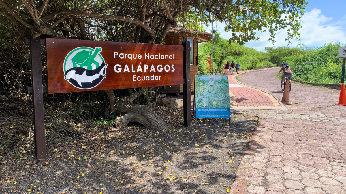 Galápagos se prepara para El Niño: científicos y operadores turísticos, en alerta.