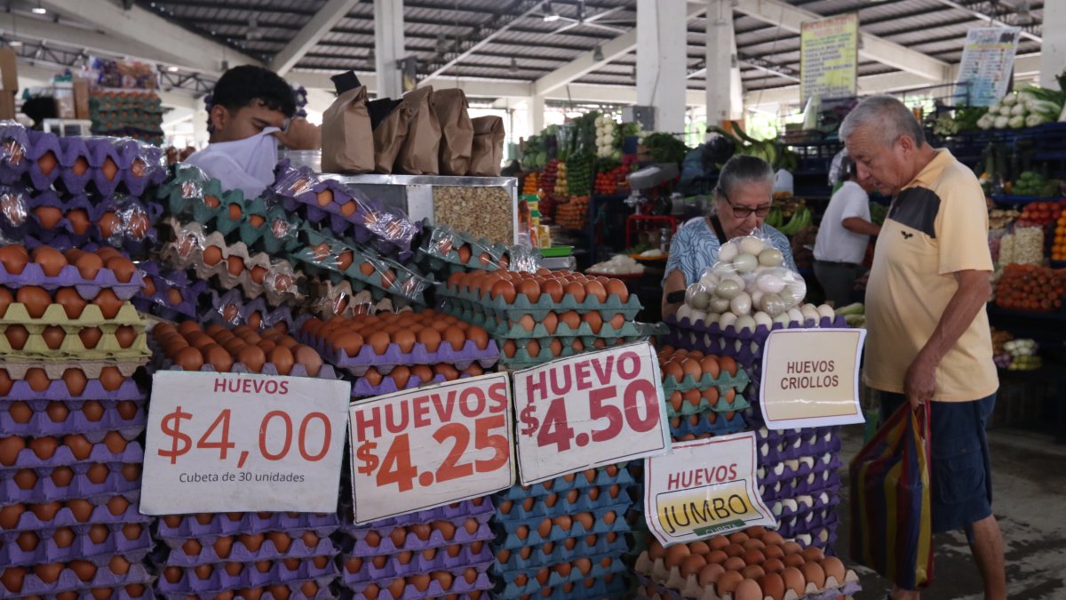 Los precios de las cubetas de huevo en el mercado de Sauces IX el miércoles 7 de octubre de 2026.