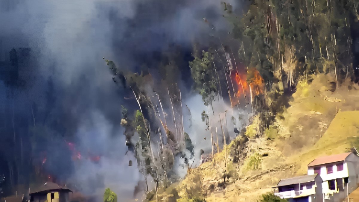 Los incendios forestales se mantienen activos en tres provincias de Ecuador, según la Secretaría Nacional de Gestión de Riesgos. Imagen referencial.