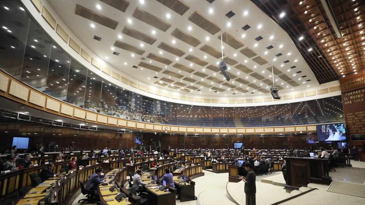 En el último Pleno de la Asamblea, el tema de los cortes de energía pasó desapercibido.