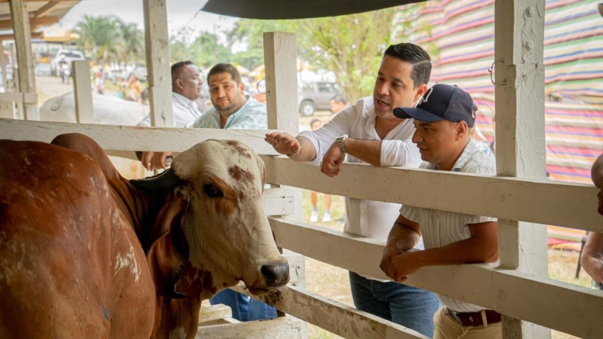 Chone vivirá la semana ganadera con el Congreso Mundial del Cebú y la Expo Cebú 2026