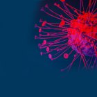 Los anticuerpos monoclonales han dado esperanzas frente a algunos tumores donde no existían.