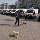 Imágenes de dueños de mascotas con sus dueños enternecen en redes, mientras otros buscan usarlos para poder salir del encierro.