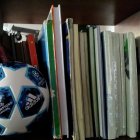 El fútbol genera tantas pasiones que varios intelectuales le han dedicado varios estudios.