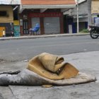 Situación. La mala disposición de estos desechos enciende las alarmas de los vecinos y autoridades.