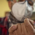 De 43 años, este hombre que viste casi siempre de explorador es uno de los únicos tres paleontólogos que tiene el país.