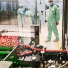 Anagni. En la empresa Catalent Biologics en esta ciudad italiana, se preparan para producir la vacuna de Oxford.