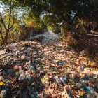 Imagen referencial. Este martes 29 de septiembre se conmemora el primer Día Internacional de Concienciación sobre la Pérdida y el Desperdicio de Alimentos.