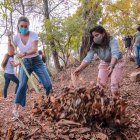 Un grupo de voluntarios de la Red de Zumar realizan trabajos en el Jardín Botánico.