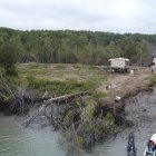 Una de las talas que EXPRESO pudo captar durante un recorrido en el golfo.