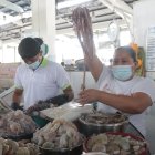 Recorrido en mercados de mariscos reconociendo los productos y diferenciandolos

Agencia (ag-extra)