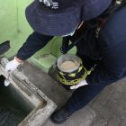 Del tipo de virus que causa problemas hemorrágicos (dengue grave) se registran 43 casos, según los reportes de Salud.