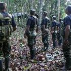 Remanentes del grupo guerrillero Sendero Luminoso, en un lugar no revelado de la selva del Alto Huallaga, sureste de Perú, en 2011.