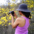 Denuncias. En lugares turísticos donde no haya una Fiscalía, se puede reportar delitos ante la Policía Nacional.