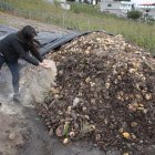 Montañas de basura se convierten en alimento para las plantas.
