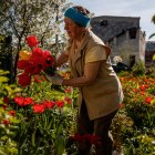 Nina cuida las flores de su jardín frente a su casa destruida por proyectiles de alto calibre, en Baryshivka (Ucrania).