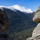 El Pinar de los Belgas es un bosque con una extensión de 2.016 hectáreas situado entre el Valle del Lozoya, entre el Parque Natural de las Lagunas de Peñalara, Rascafría y el Puerto de Cotos.