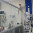 EL gato se sentó sobre la división de aluminio entre camas de la Unidad de Ciudados Intensivos.