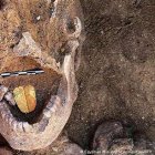 Hallan varias tumbas y momias con lenguas doradas en el norte de Egipto