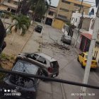 Las ramas caen y esto representa un peligro para la población.