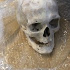 Fotografía sin fecha, cedida por La Dirección General de Aduanas de Argentina, que muestra un cráneo humano dentro de una caja de cartón. Inspectores de la Dirección General de Aduanas de Argentina