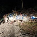 Fotografía cedida hoy por Noticias Chiricanas del autóbus que cayó de un precipicio la madrugada de este miércoles en el área de Gualaca, en el occidente de Panamá.