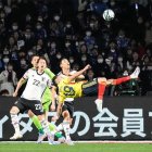 colombia santos borré