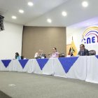 El pleno del Consejo Nacional Electoral resolverá los procesos de inscripción con falencias