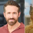 Ryan Reynolds junto al recordado personaje de los años 80. La comedia televisiva fue transmitida en Ecuador por Teleamazonas.