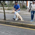 Acto. Odín fue localizado el mismo día que su dueña, Luz, perdió la vida.
