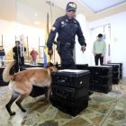 Canes revisaron los kits técnicos electorales previo a su envío al exterior.