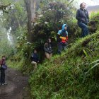 El senderismo a través de bosque nublado es uno de los atractivos de esta comunidad, enclavada entre el Pululahua y la reserva de Maquipucuna.