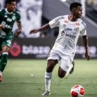 El ecuatoriano Juan Cazares tendrá la oportunidad de un título brasileño junto a Santos