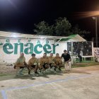 El centro de rehabilitación Renacer sube fotos de actividades en las que participa Jaime Iván Kaviedes