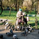 Hong Kong. Una persona alimenta a un grupo de palomas en un parque en la antigua colonia británica.