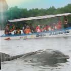 Existe una variedad de atractivos turísticos cerca de Guayaquil.