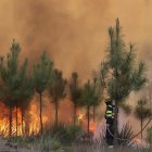 Varios bomberos trabajan en las labores de extinción de los incendios registrados en Portugal, este miércoles en Casal de Mundinho, ubicado en la comarca lusa de Mangualde (región Centro).